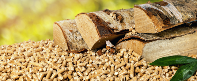 SGS Polska jest partnerem strategicznym 15. edycji Forum Biomasy i RDF w Ciepłownictwie, Energetyce i Przemyśle.